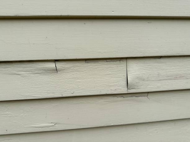 Best Fiber Cement Siding Installation  in Dudley, NC